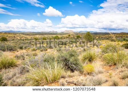 Scenic landscape in Hidalgo County, New Mexico, USA Royalty-Free Stock Photo #1207073548