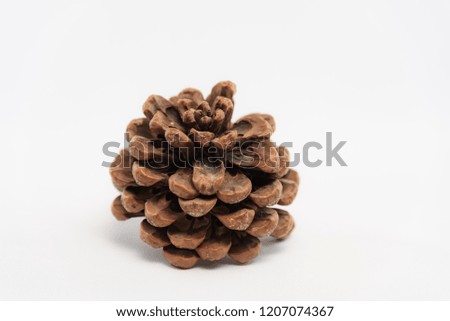 Studio photo of a cones on a white background