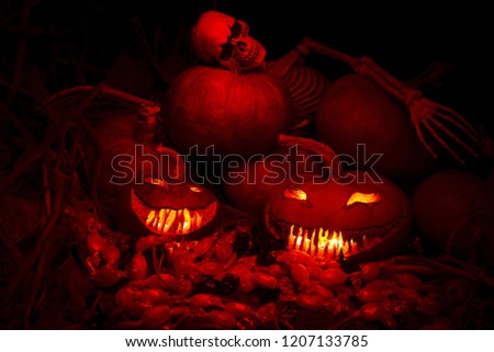 Halloween party in the dark forest 
