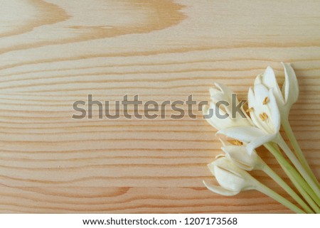 Top view of a bunch of pure white Millingtonia flowers on light brown wooden table, with free space for text and design