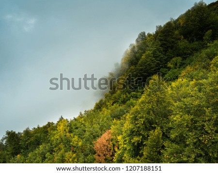 Mountains and forest in autumn in clouds and fog on Rosa Khutor in Sochi.