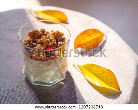 Healthy autumn breakfast. Greek yoghurt with granola, dried berries in glass and yellow leaves. Concept of Color of the Year 2021 with bright illuminating yellow and gray colours.