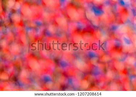 Blurred background with beautiful, red autumn leaves.