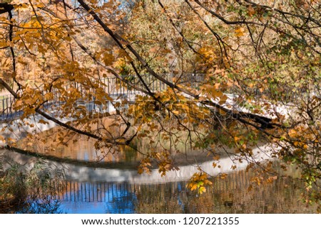 autumn bridge and its reflection