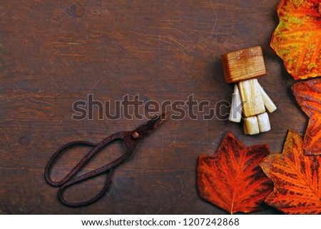 Autumn leafs sharp table scissors wooden toy 