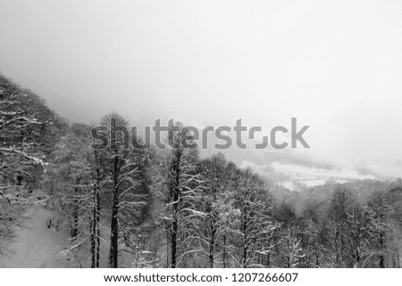 Black-and-white photographs of ski slopes and lifts in winter the snowy slopes of the mountains during a snowfall
