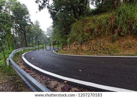 empty narrow road in the middle of forest with fog