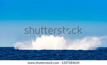 View of the spray, seascape, Hawaii, USA. Copy space for text