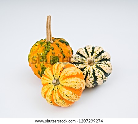 Pumpkin selection  for Halloween on white background                