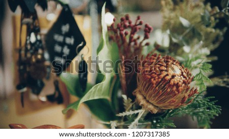 Flowers in a pot decorated on a dining table. Flowers in tins, summer or spring.