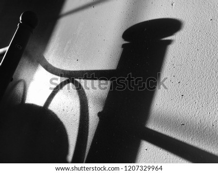 noir photo of a sunny day