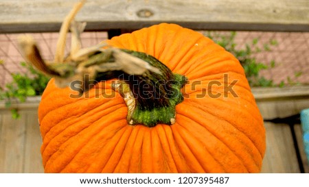 Overhead view of a wrinkled pumpkin seemingly floating on a patio.