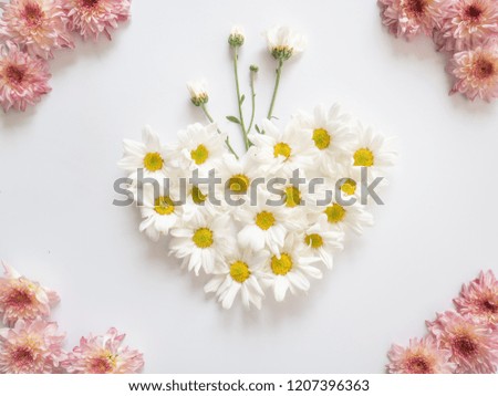 Top view of white flowers, those are called Chrysanthemum, arranged in heart shape on white background	