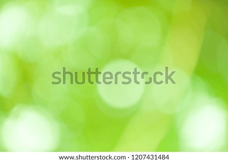 Green bokeh abstract background out of focus from nature forest