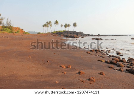 Beach with black sand and palm trees. Dark brown volcanic sand and beach in India, GOA.
