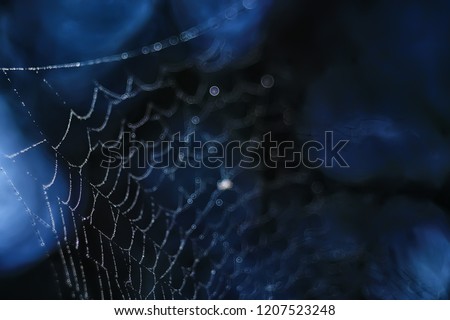  reflections and water drops on a background of the web