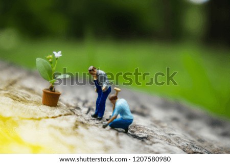 Greenhouse concept, miniature mini figures with planting tree  on stump and protect nature and environment. Save the world with plant trees in the forest background