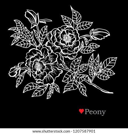 Decorative peony flowers, design elements. Can be used for cards, invitations, banners, posters, print design. Floral background in line art style