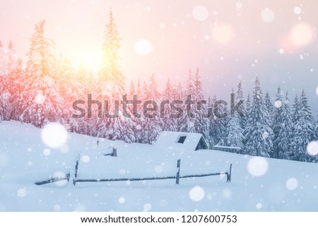 Fantastic winter landscape and the cabin in mountains. Magic event in frosty day. In anticipation of the holiday. Bokeh light effect, soft filter. Carpathian Ukraine Europe.