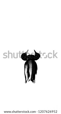 Illustration duck on water silhouette