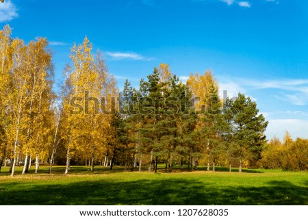 Fresh green field with autumn trees in colorful fall foliage against a sunny blue sky in a scenic landscape