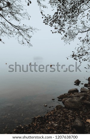 Nature Mood, Lake Shore hiding in Fog. Finland nature, autumn concept