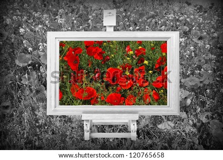 frame on a tripod with full  poppies  color canvas and background of black and white landscape. Concept for environment