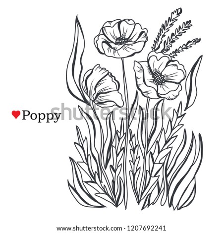 Decorative poppy flowers, design elements. Can be used for cards, invitations, banners, posters, print design. Floral background in line art style