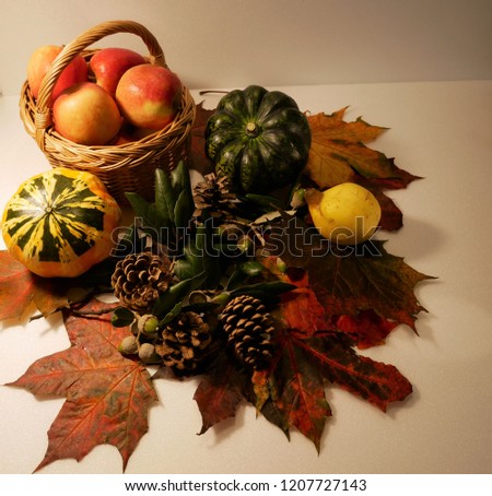 Autumn vegetables  on the table.
