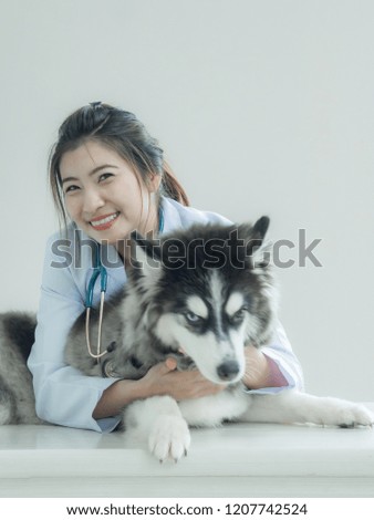 One woman with white coat and stethoscope white background with one dog, veterinary and pet hospital concept.