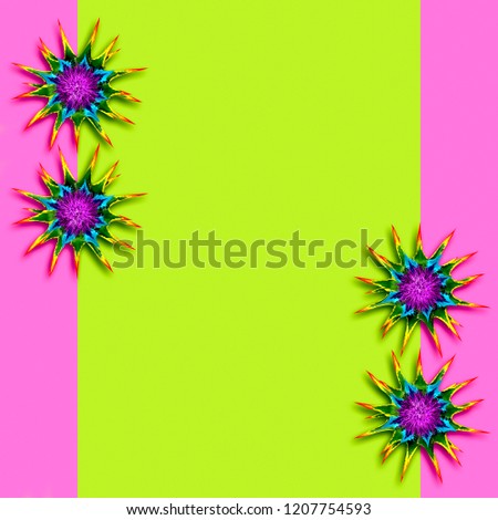 Bright colorful background with rainbow spiny flowers