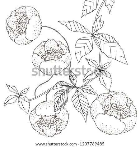 Coloring Pages. Coloring Book for adults. Colouring pictures with flowers. Antistress freehand sketch drawing with doodle and zentangle elements.