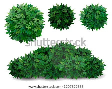 Vector bush in different forms. Tree crown.  Ornamental plant shrub  for decorate of a park, a garden or a green fence. Royalty-Free Stock Photo #1207822888