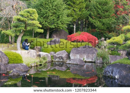 traditional Japanese park in autumn
