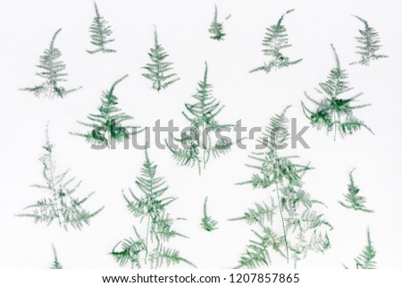 Christmas composition. Pattern made of coniferous tree branches on white background. Christmas, winter, new year concept. Flat lay, top view