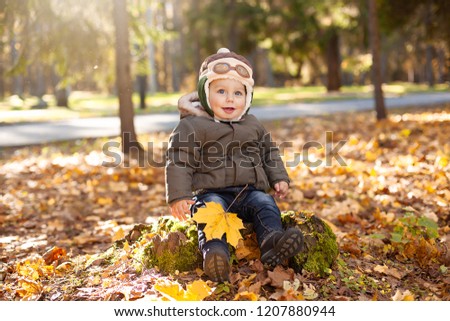 little boy in the pilot cap sitting on the stump, yellow and orange foliage around him. Autumn