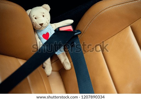 safety belt toy bear 