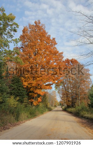 fall time of year in Michigan