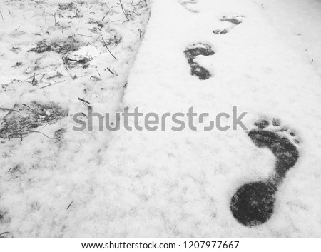 Footprints on snowy surface