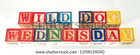 The term wild dog Wednesday displayed visually on a white background using colorful wooden toy blocks image with copy space in landscape format