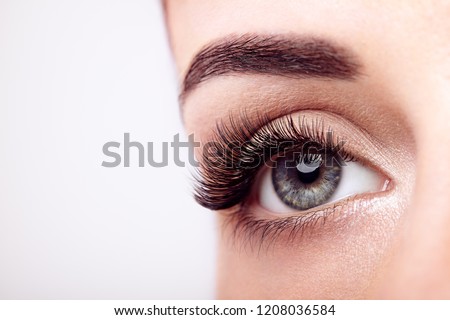 Female Eye with Extreme Long False Eyelashes. Eyelash Extensions. Makeup, Cosmetics, Beauty. Close up, Macro Royalty-Free Stock Photo #1208036584