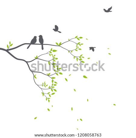 Beautiful tree branch with birds silhouette background for wallpaper sticker