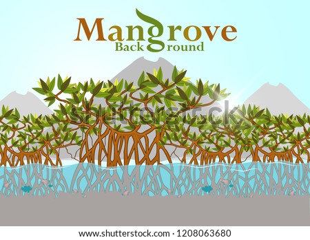 Mangrove forest background. illustration. eps10