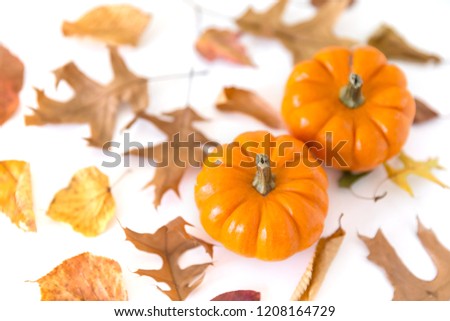 Pumpkins with autumn leaves isolated on white background