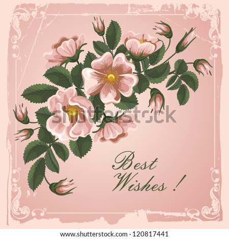 Romantic floral background with vintage flowers of wild roses