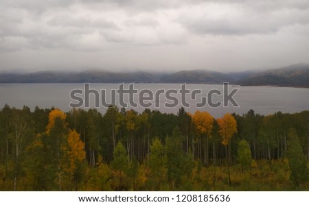 autumn forest with colorful foliage on the background of the lake
