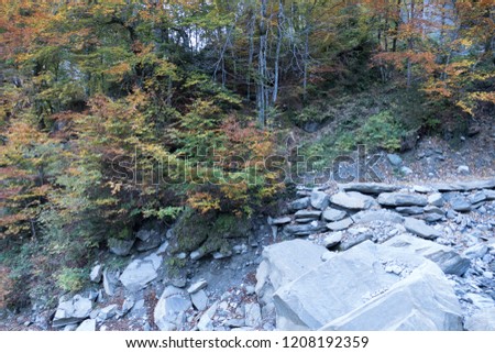 beautiful mountain stream in rocks in autumn season