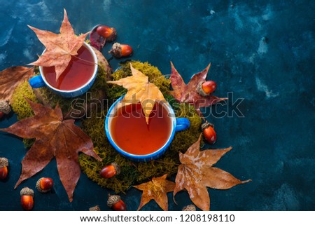 Autumn drink photography with hot tea in blue ceramic cups and fallen maple leaves on a wet dark background with copy space. Seasonal header with drink