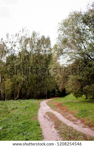 The path in the wood or park. The way to go. Autumn season. Daytime.