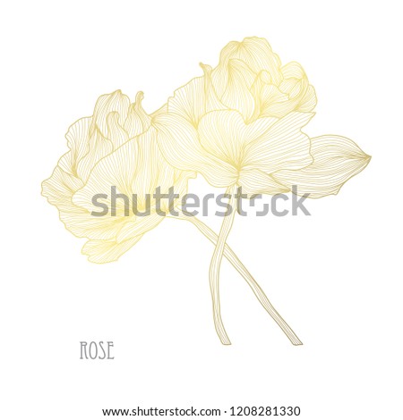 Decorative rose  flowers, design elements. Can be used for cards, invitations, banners, posters, print design. Golden flowers